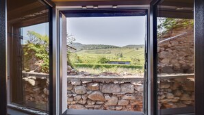 Vista a través de una ventana con paredes de piedra y un viñedo al fondo.