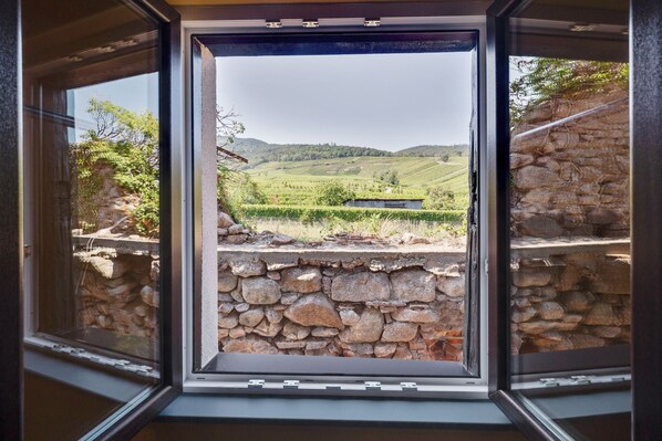 A view through a window with stone walls and a vineyard in the background.