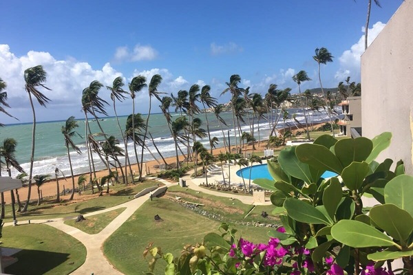 Views from the villa