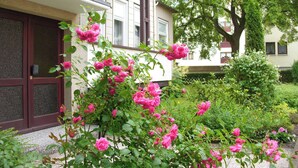 Un jardín con rosas rosadas en flor frente a un edificio con puerta y ventanas marrones.