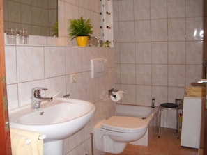 Une petite salle de bain avec un lavabo, des toilettes et un miroir. Une plante en pot est posée sur le comptoir du lavabo.