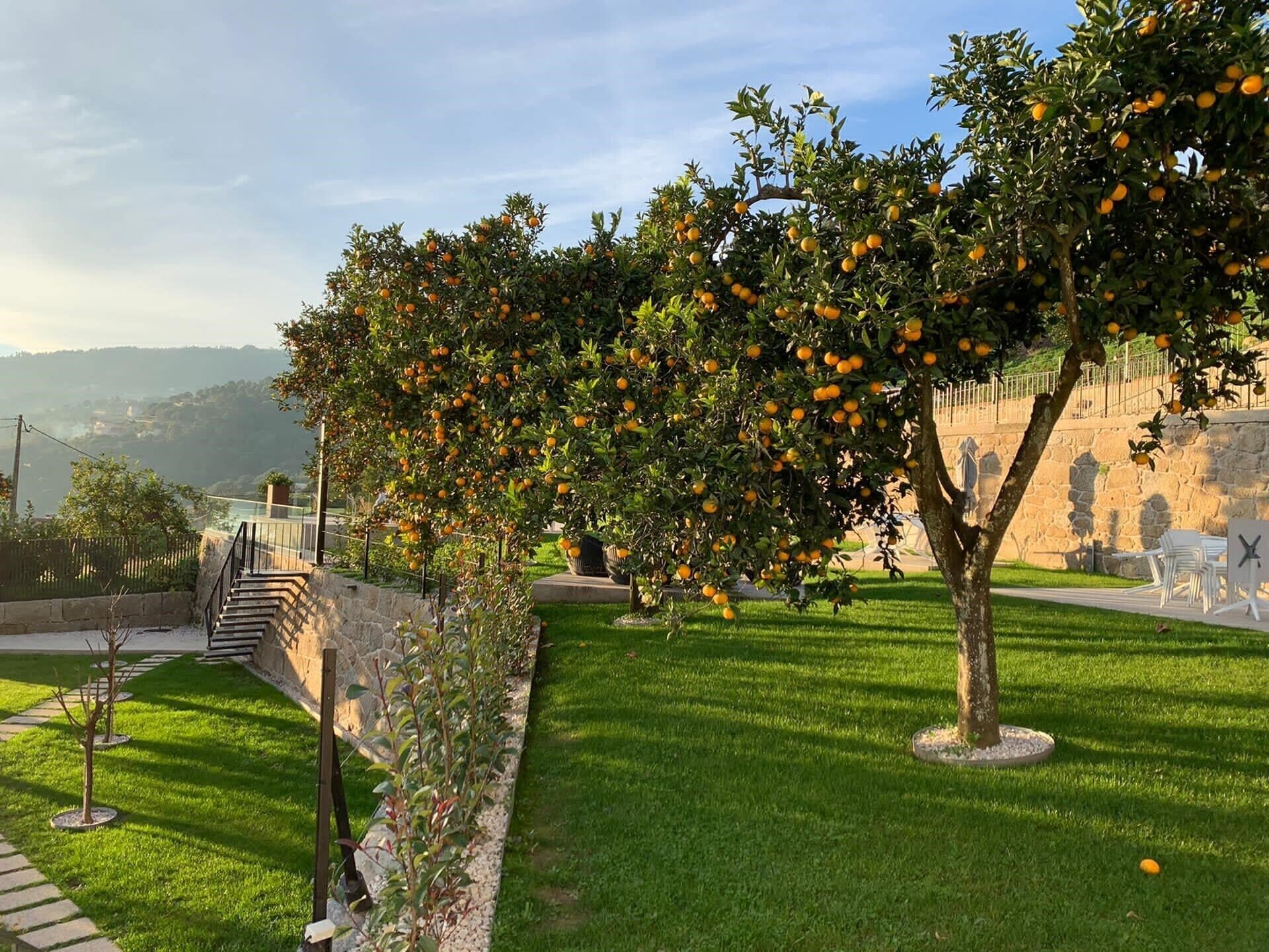 Foto - Portovella Lodges & Bungalows