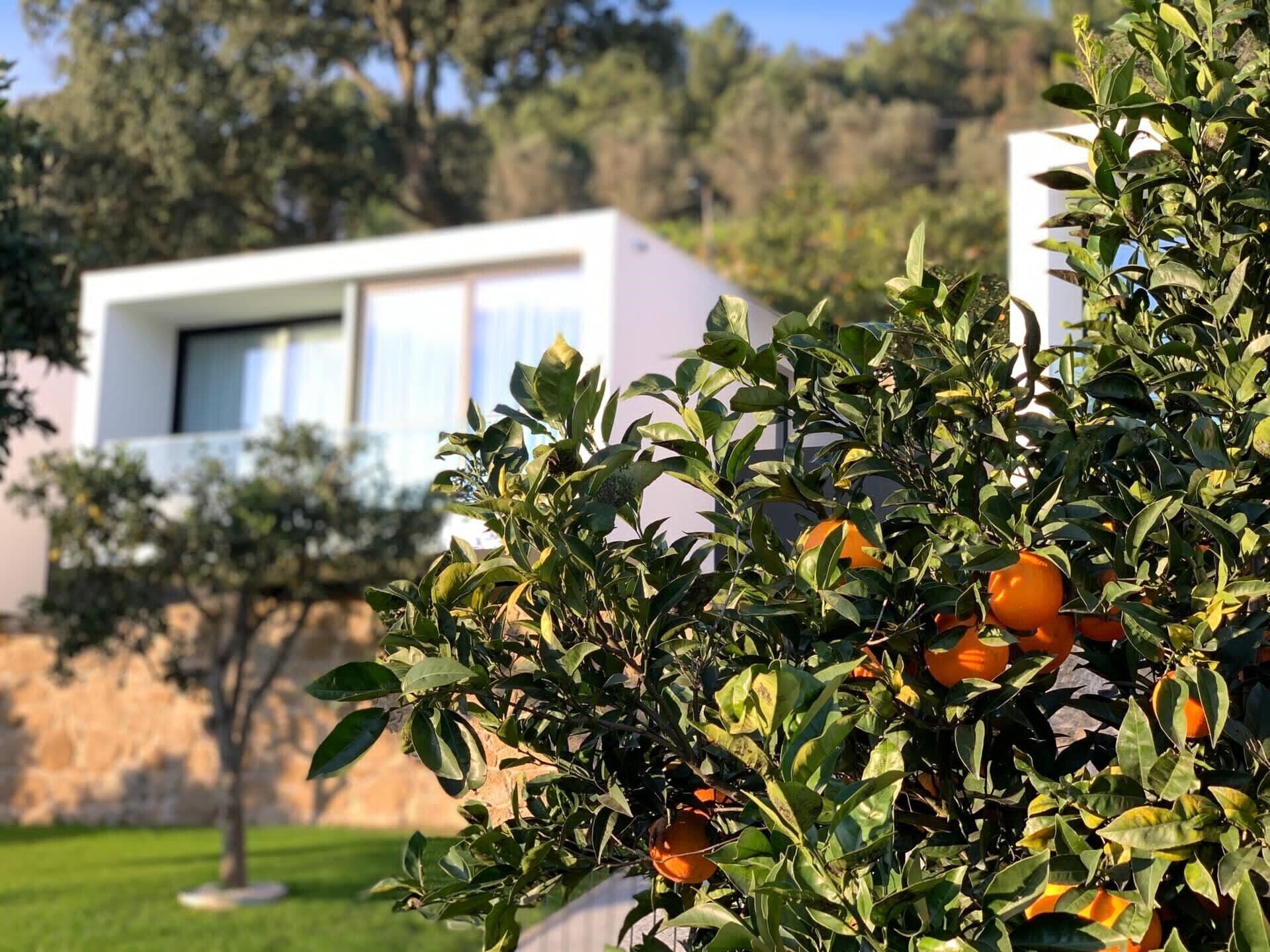 Foto - Portovella Lodges & Bungalows