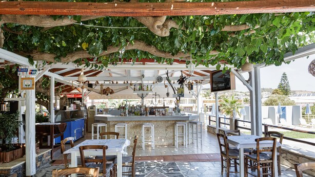 An outdoor café with wooden tables and chairs, a bar area, and hanging plants.