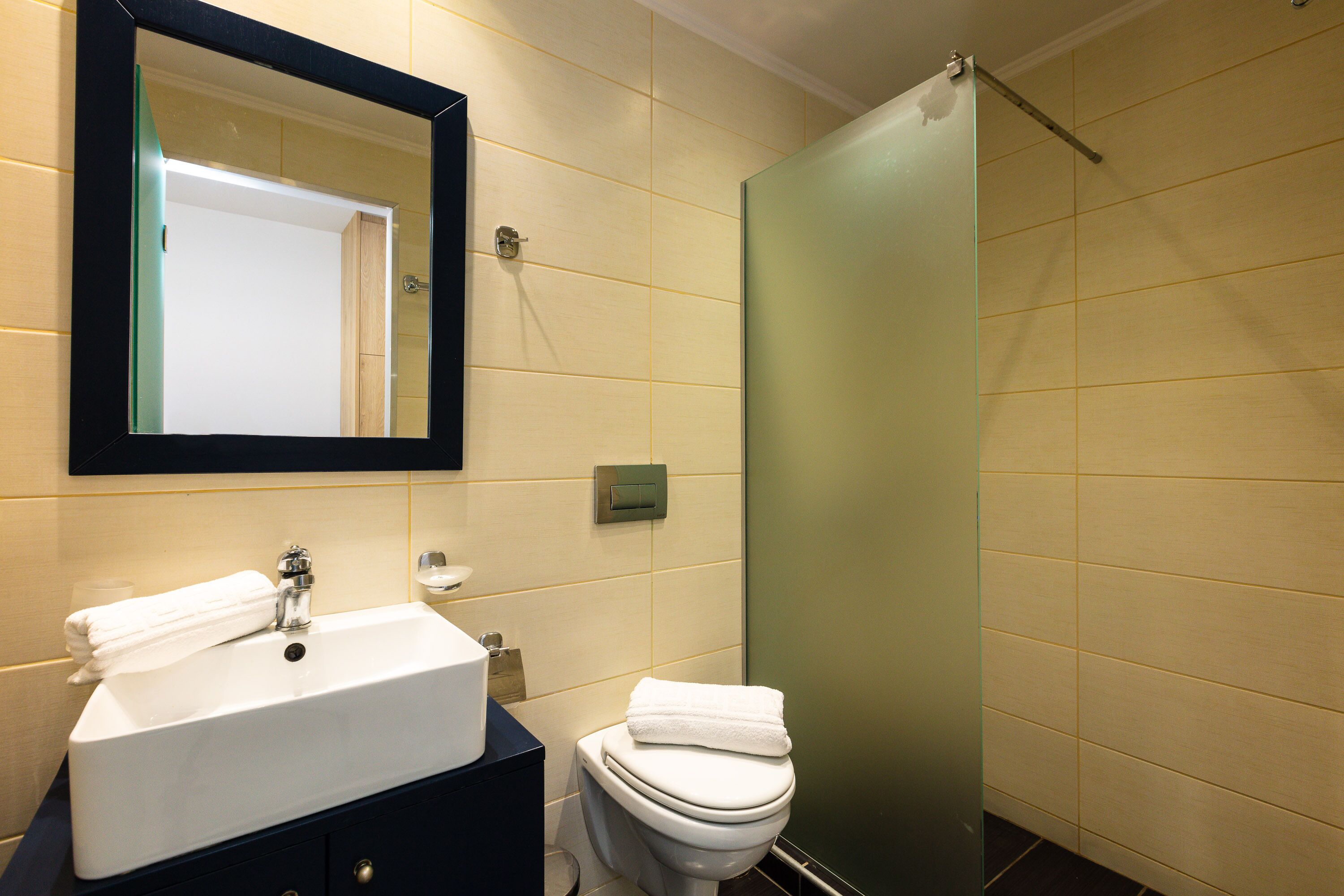 A bathroom with a white sink, a mirror, a toilet, and a shower.