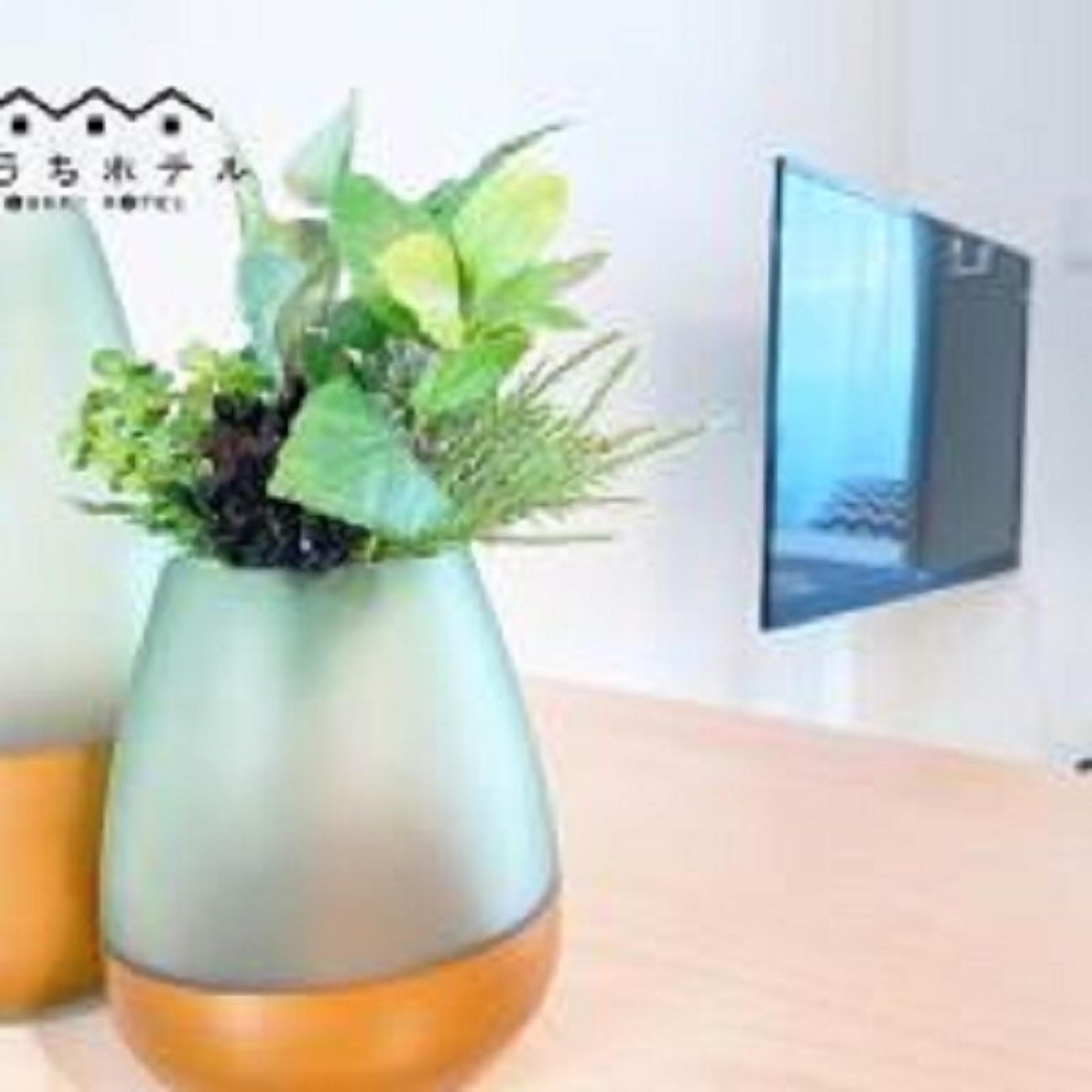 A modern interior with two green planters on a wooden table, a wall-mounted TV, and a light-colored wall.