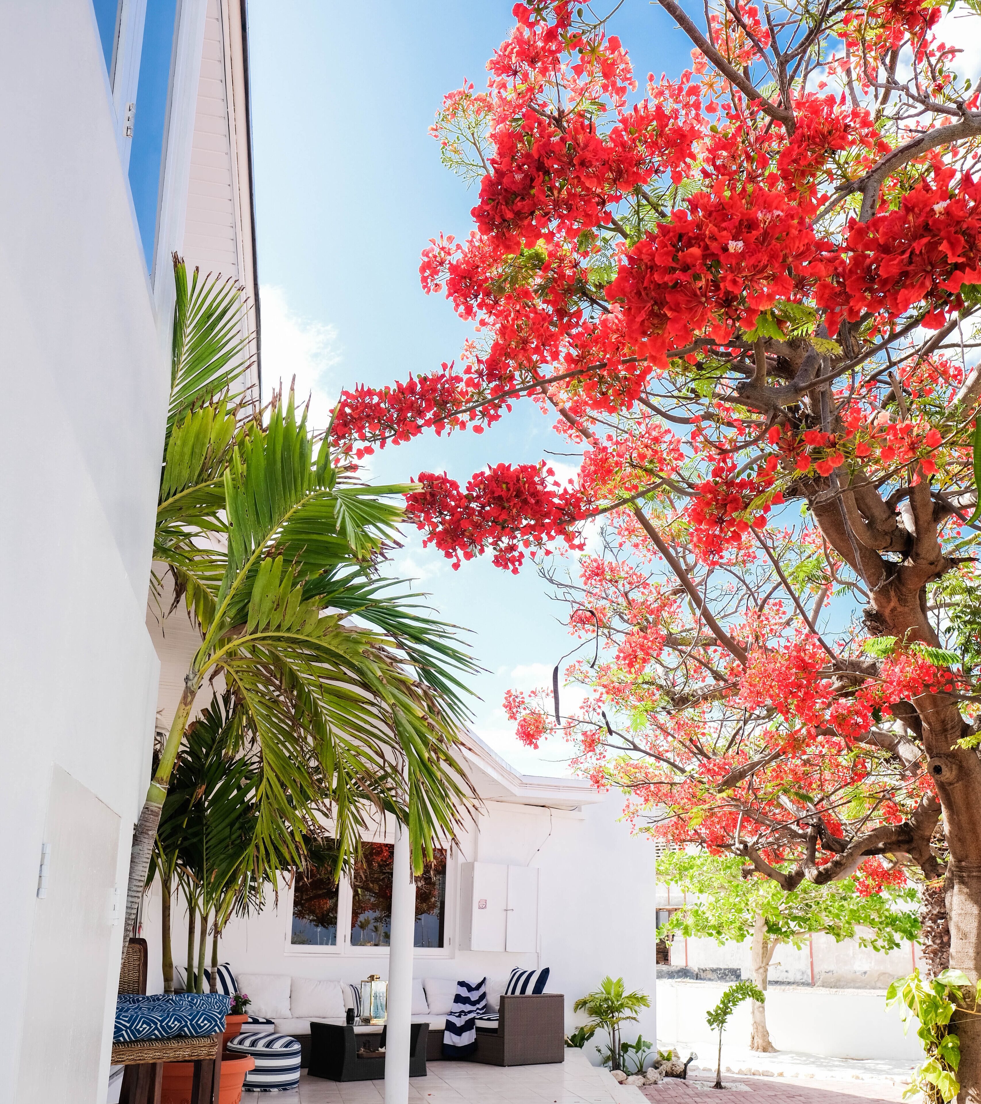 Terraço/pátio