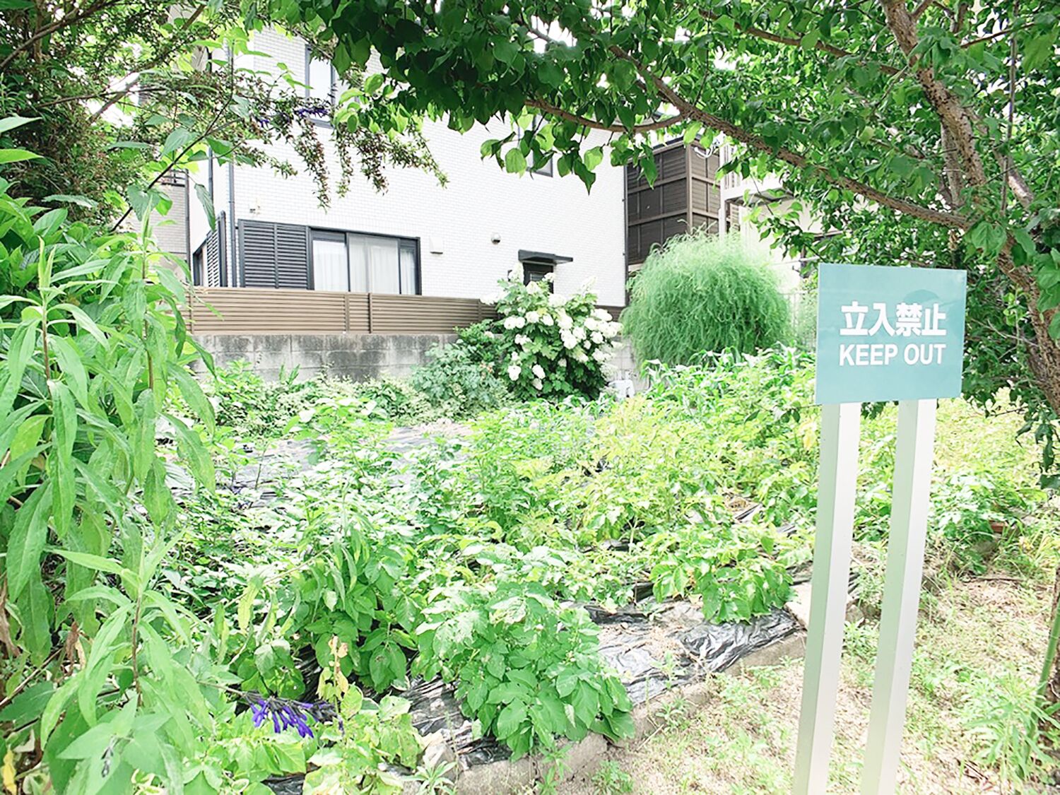 Foto - Itsukaichi First Villa Hiroshima