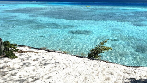 Una playa con agua turquesa cristalina y una orilla arenosa.