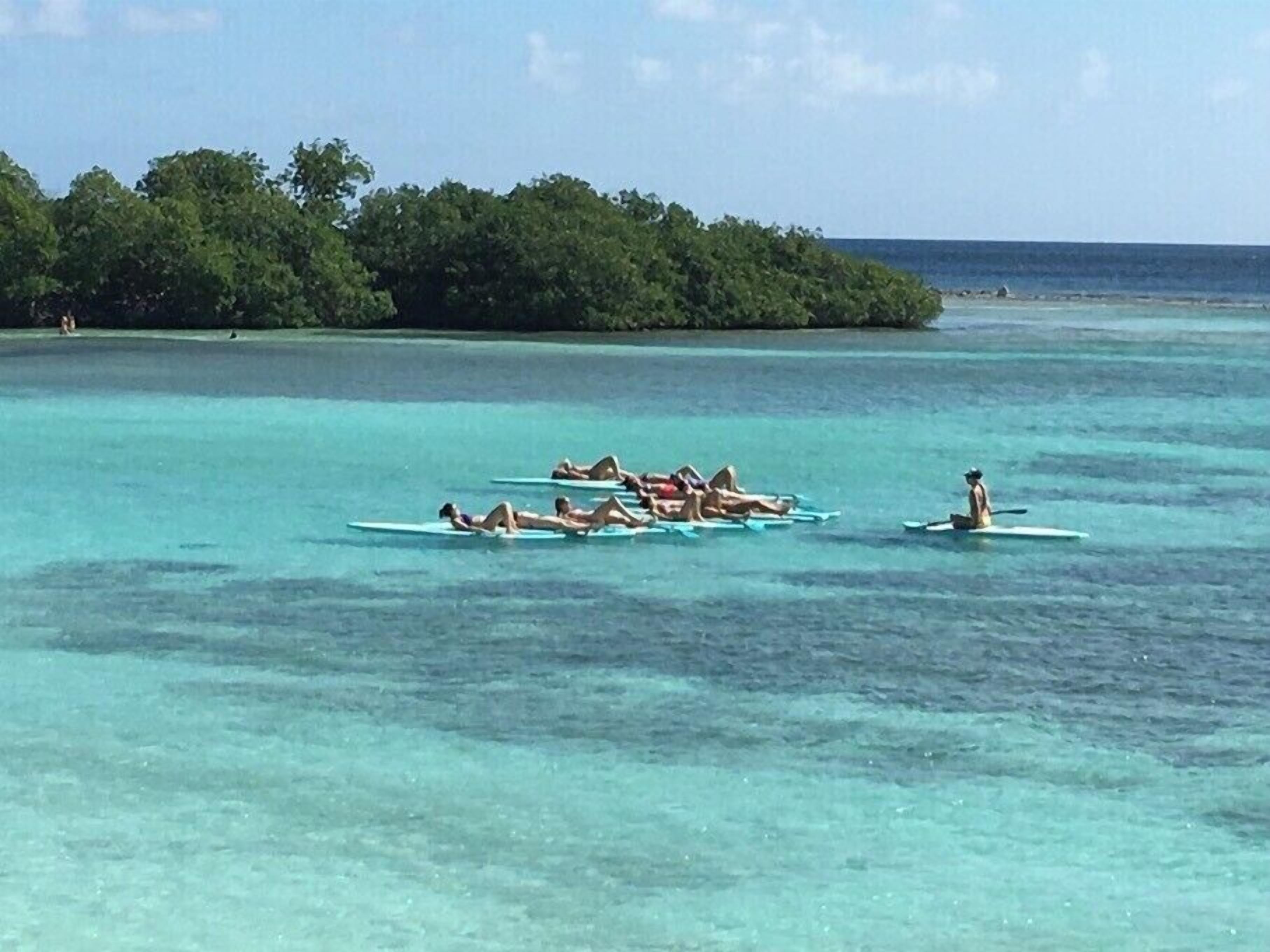 A group of people lying on surfboards in clear turquoise water, with a forested island in the background.