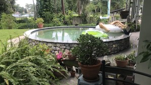 A circular pool with a stone edge, surrounded by various potted plants and ferns.