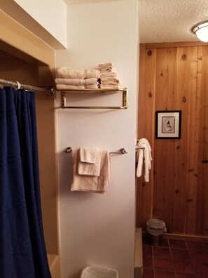 Combined shower/tub, towels, soap, toilet paper