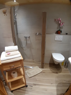 Dusche, Haartrockner, Handtücher