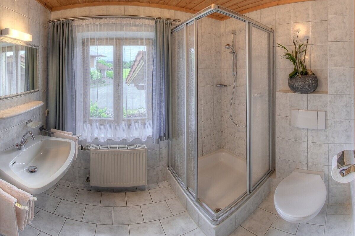 Een badkamer met douche, wastafel en toilet.