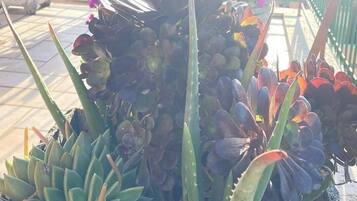 Apartment | Property grounds