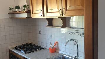 Apartment | Private kitchen | Fridge, microwave, oven, stovetop