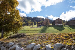 Mountain view - Alpenlodge Val Gronda (Obersaxen)