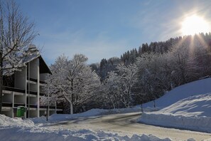 Exterior - Alpenlodge Val Gronda (Obersaxen)