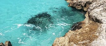 Bella Horizonte - Beachfront 4