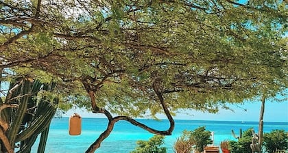 Bella Horizonte - Beachfront 7