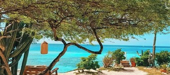 Bella Horizonte - Beachfront 8