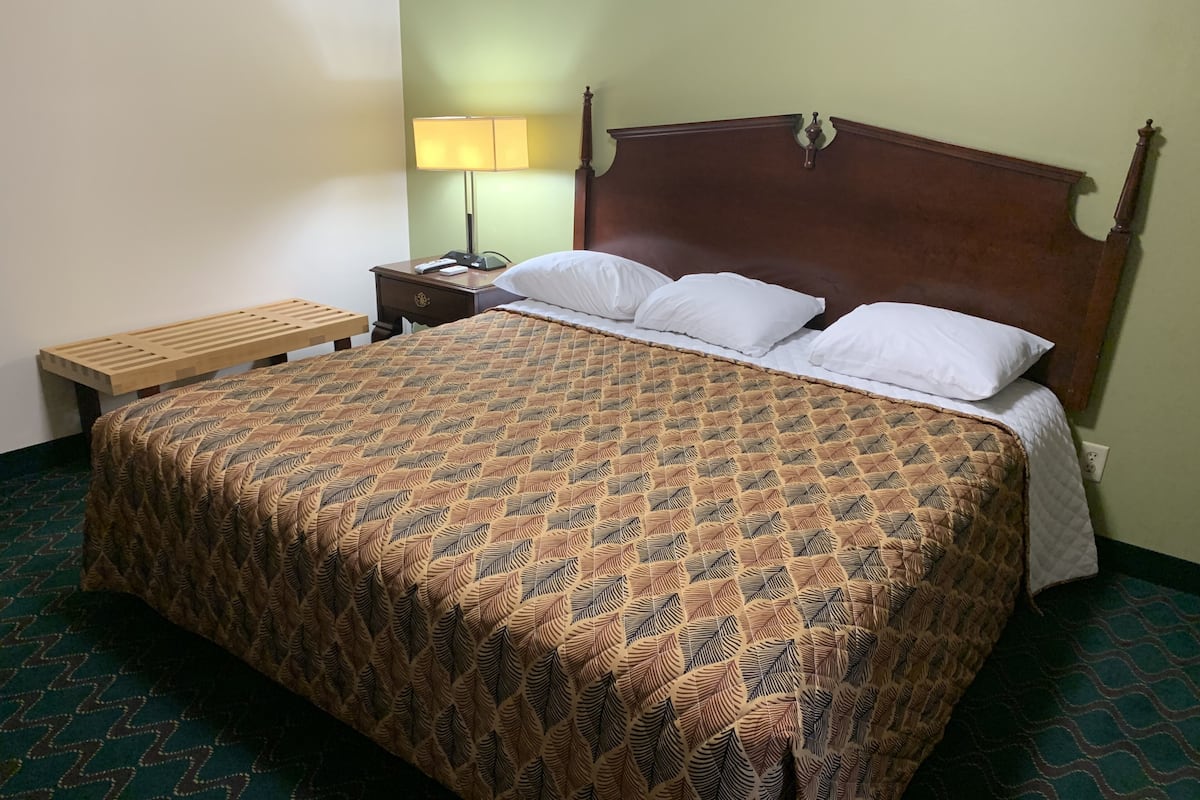 Habitación individual básica | Wifi gratis y ropa de cama