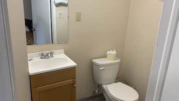 Un bagno piccolo con un lavandino bianco, uno specchio, un water e un armadietto di legno.