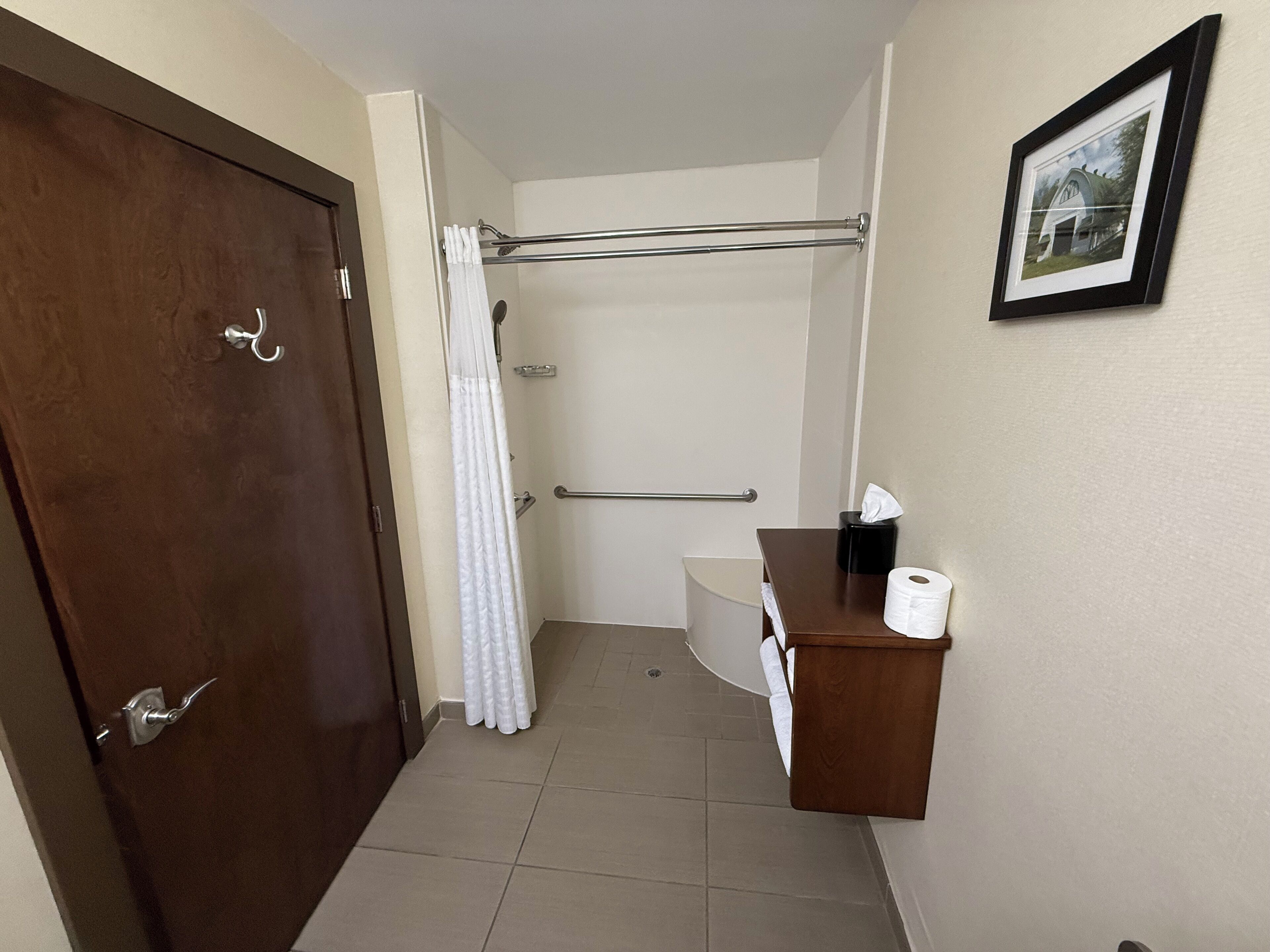 A bathroom with a wooden door, a shower with a glass door, a toilet, a sink with a mirror, and a framed picture on the wall.