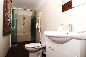 Regadera, amenidades de baño ecológicas, secadora de cabello, toallas 