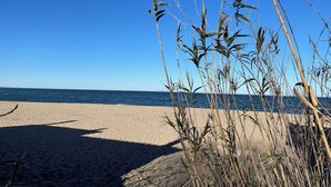 Uma praia com areia e gramíneas altas em primeiro plano, e um céu azul límpido.