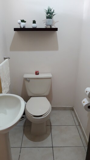 Handtücher, Toilettenpapier