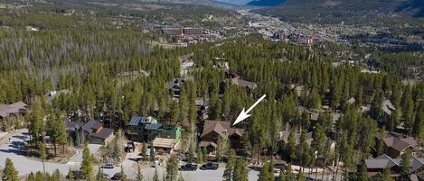 A residential area with houses surrounded by dense forests and mountains in the background.