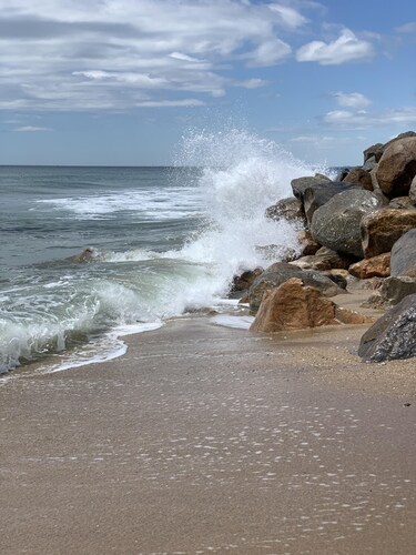 Let the Sea Set You Free