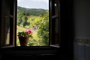 Apartment, Private Bathroom | View from property - Molino de Yera (Vega de Pas)