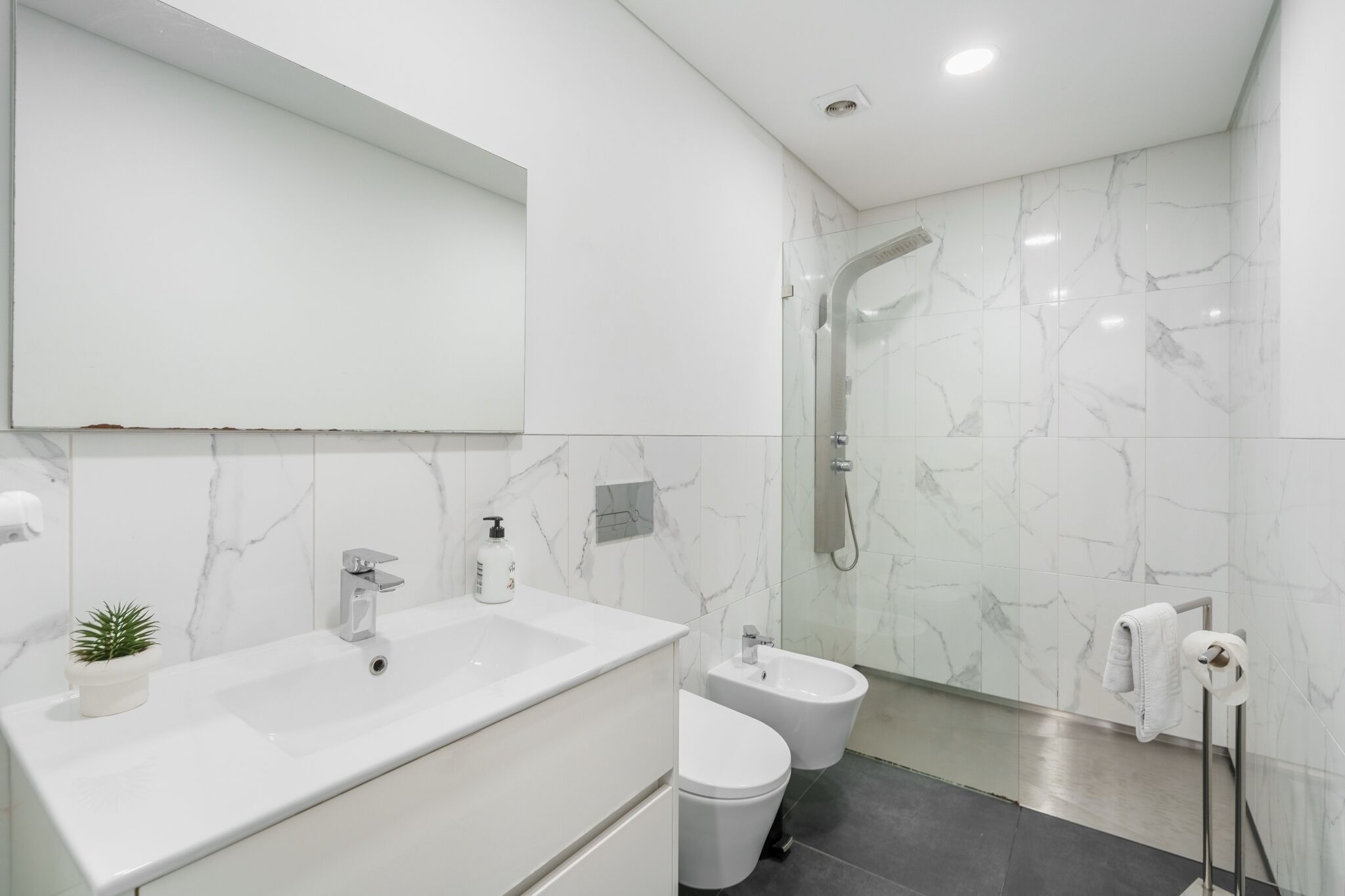 Shower, hair dryer, bidet, towels