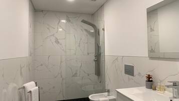 Shower, hair dryer, bidet, towels