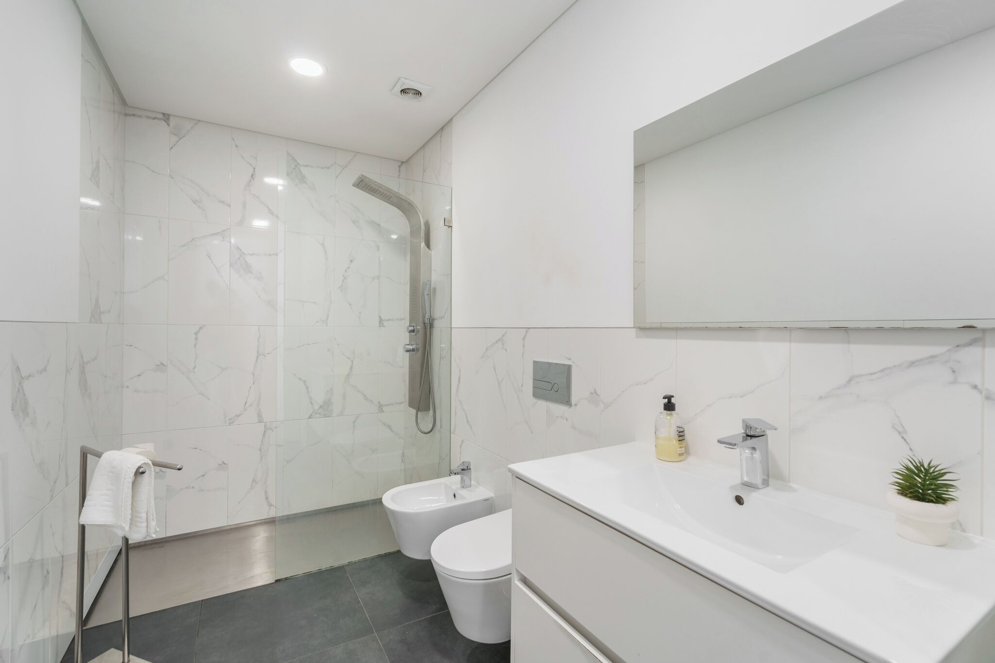 Shower, hair dryer, bidet, towels