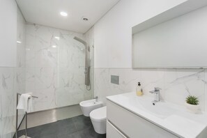 Regadera, secadora de cabello, bidet, toallas