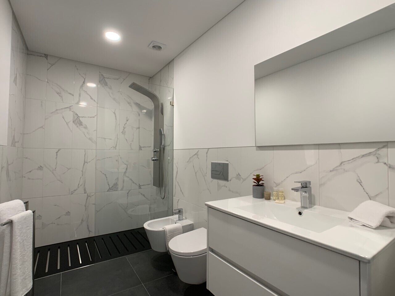 Shower, hair dryer, bidet, towels