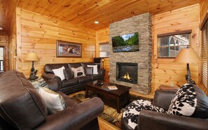 Fernseher, Kamin, DVD-Player