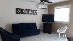 Televisión y chimenea