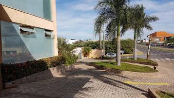 Uma passarela pavimentada com uma palmeira e um edifício com fachada de vidro.
