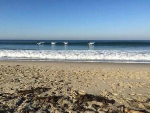 A beach with waves and three surfers in the distance.