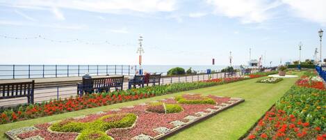 A landscaped garden with benches and a pathway.