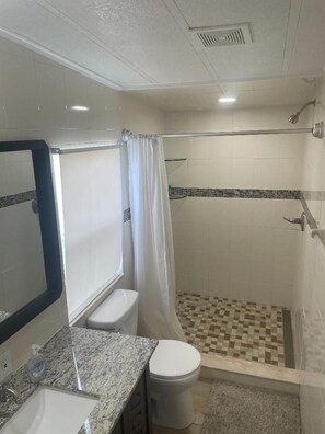 Shower, towels, toilet paper