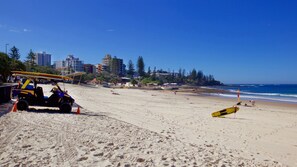 A beach with a lifeguard vehicle and a surfboard. - Ashwood | Ocean Views Opposite Kings Beach (KINGS BEACH)