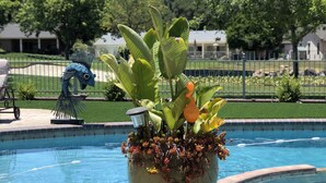 A swimming pool with a potted plant in the center. - On the Golf Course Home w amazing views!  (San Jose)