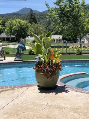 Outdoor pool, a heated pool - On the Golf Course Home w amazing views!  (San Jose)