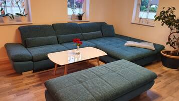 TV, fireplace, DVD player, foosball