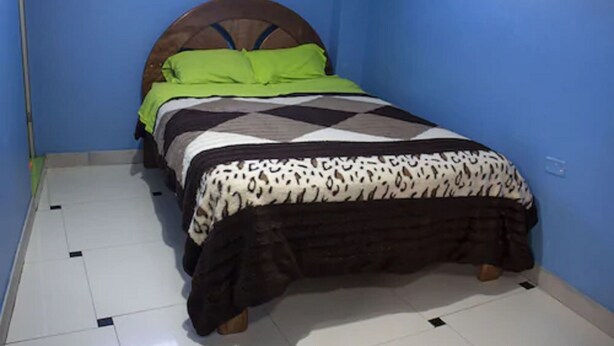 Una cama con colcha estampada y almohadas, cabecera de madera y pared azul.